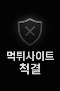 Read more about the article 온라인 먹튀 사이트 이용의 위험성과 안전한 온라인 활동 가이드